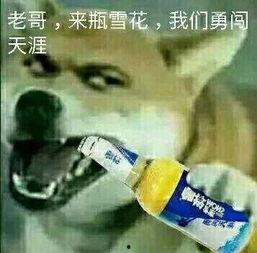 大哥爆料啤酒制作视频大全,大哥爆料视频大全全解析  第1张