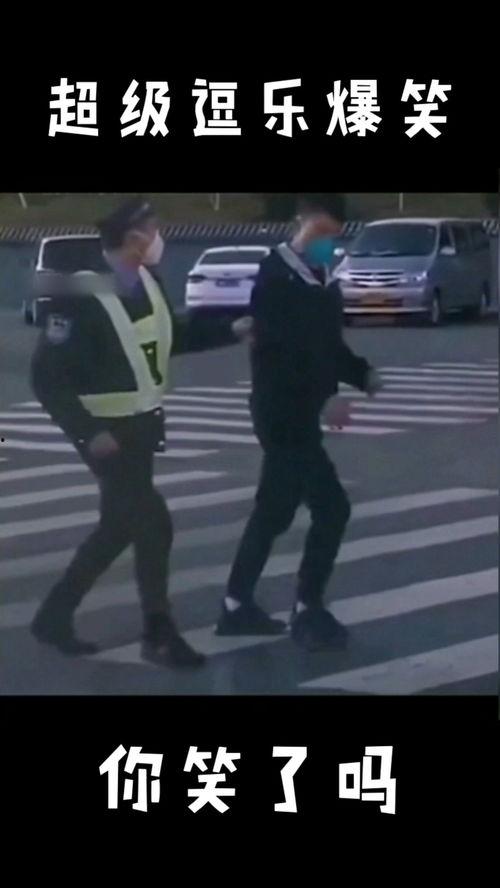 逗乐爆料视频大全最新,笑点满满，欢乐无限  第3张