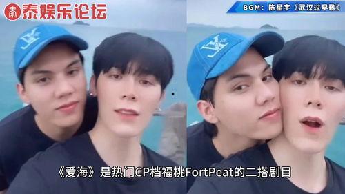 fortpeat圈内爆料,揭秘游戏圈幕后风云